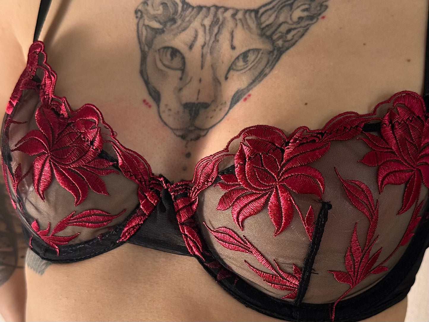 Amaryllis noir et rouge